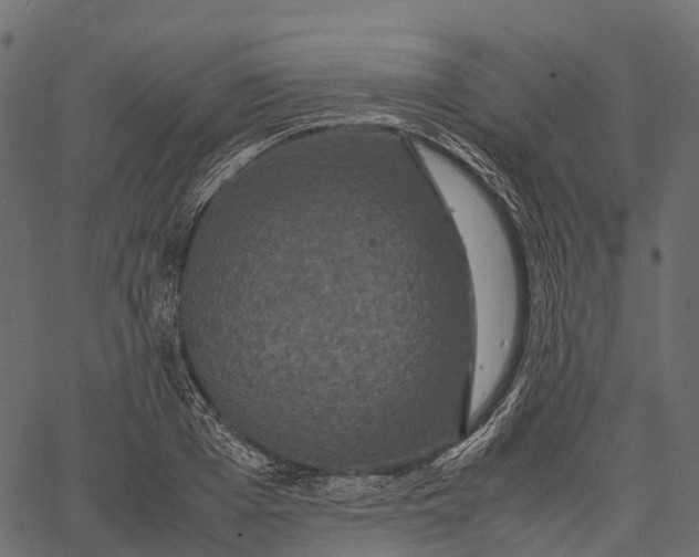 X0000062620985200601111030