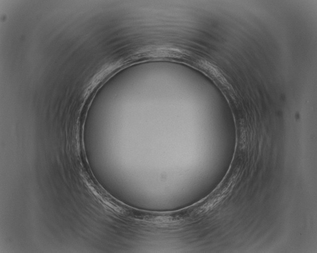 X0000062620986200601111029