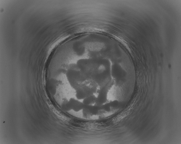 X0000062620987200601111029