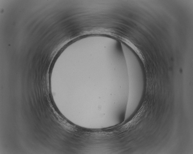 X0000062620988200601111029