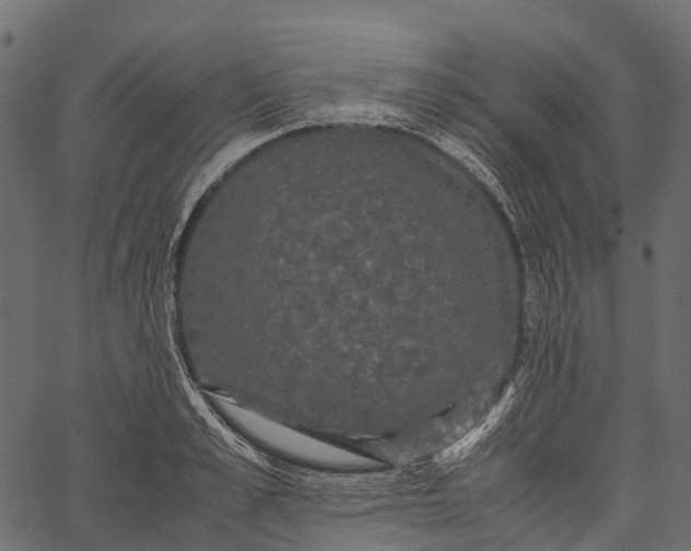 X0000062620989200601111029