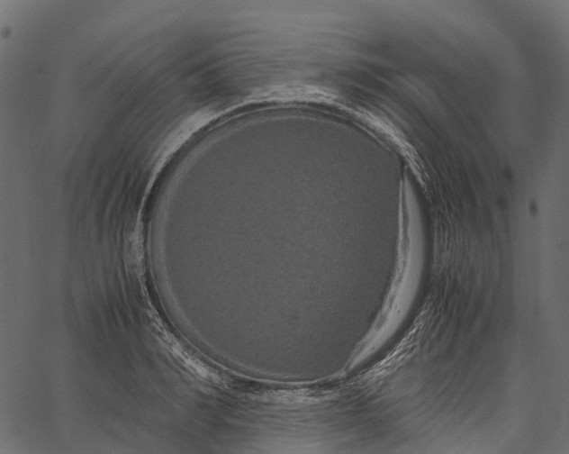 X0000062620990200601111029