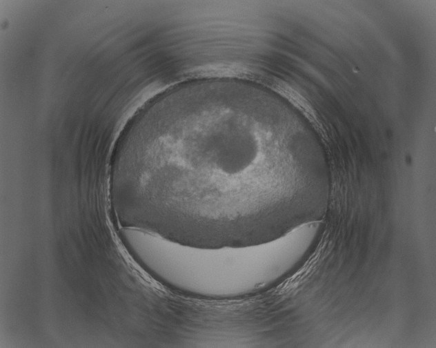 X0000062620992200601111029