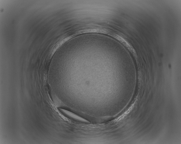 X0000062620993200601111029