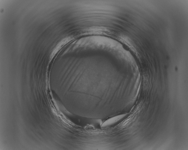 X0000062620994200601111029