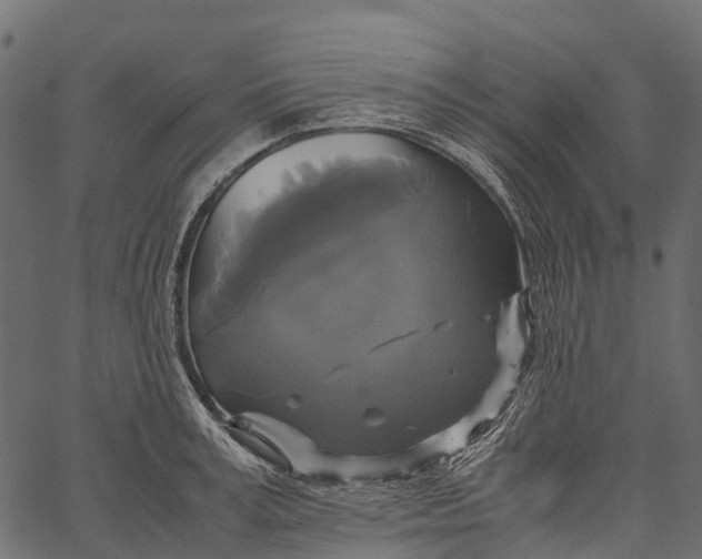 X0000062620995200601111029