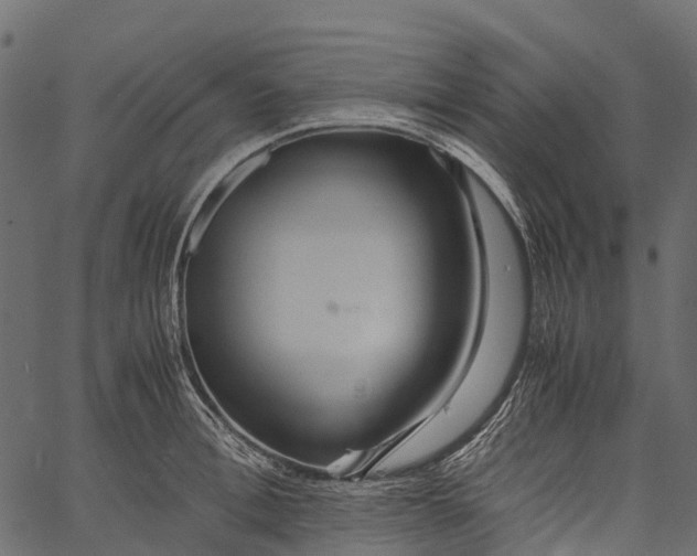 X0000062620996200601111029