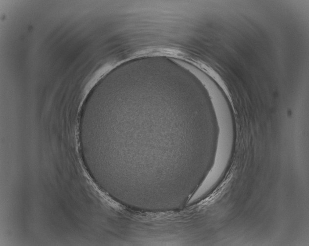 X0000062620997200601111029