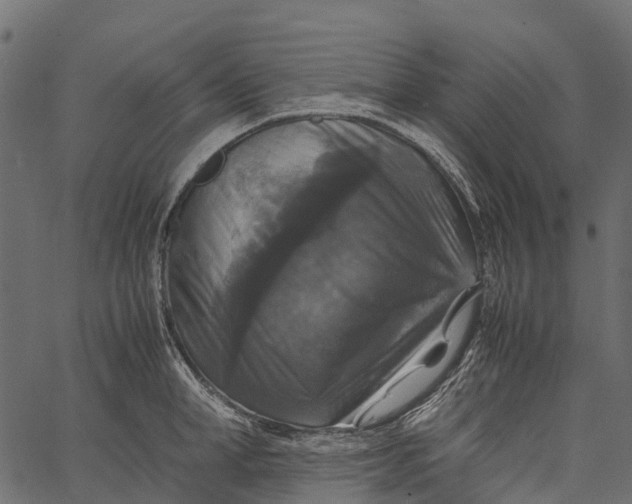 X0000062620998200601111029