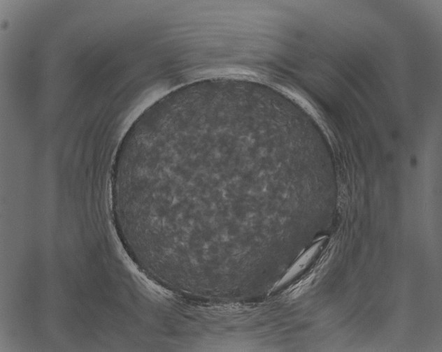 X0000062620999200601111029