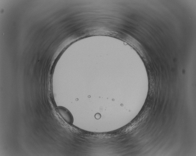 X0000062621000200601111029