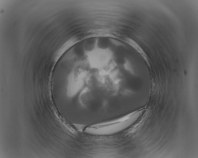 X0000062621002200601111029