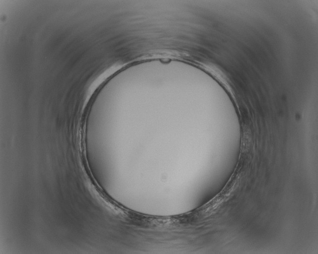 X0000062621003200601111029