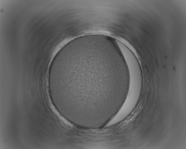 X0000062621005200601111029