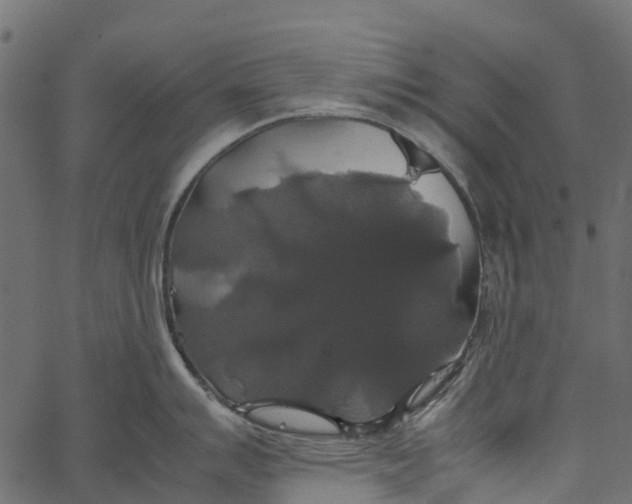 X0000062621007200601111029