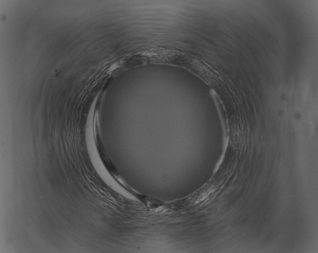 X0000062621010200601111028