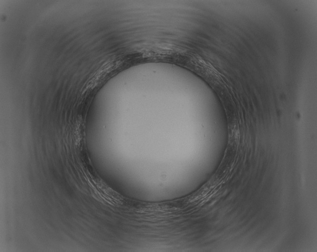 X0000062621012200601111028