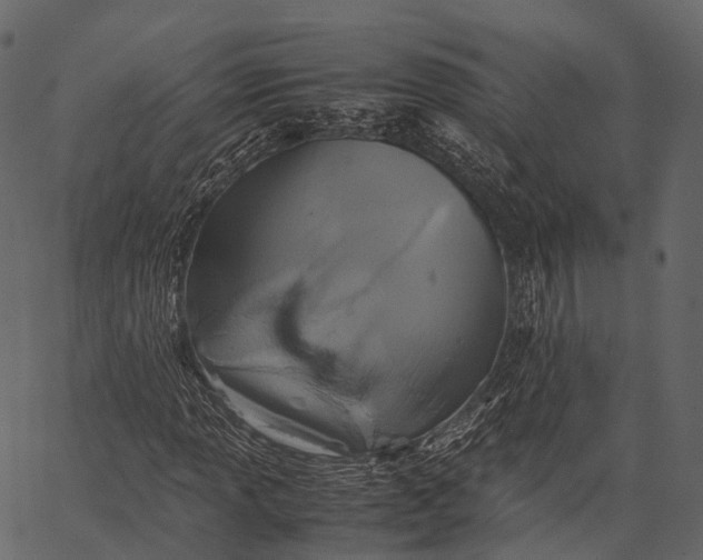 X0000062621013200601111028