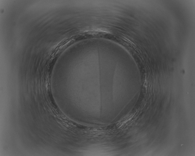 X0000062621014200601111028