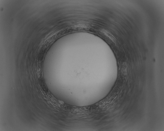 X0000062621015200601111028