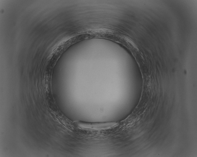 X0000062621016200601111028