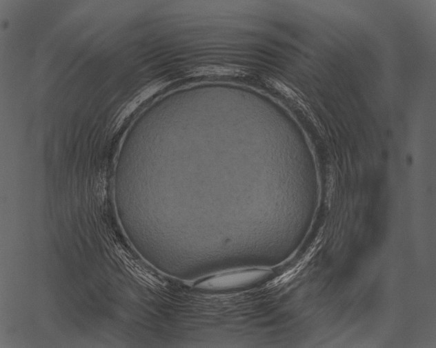 X0000062621017200601111028