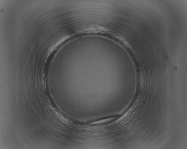 X0000062621018200601111028