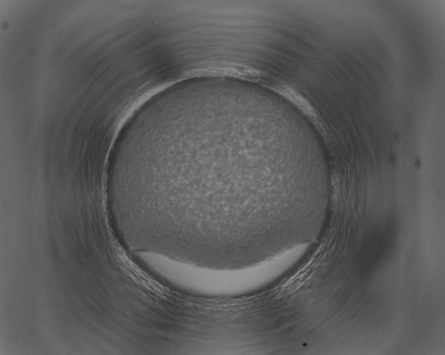 X0000062621020200601111029