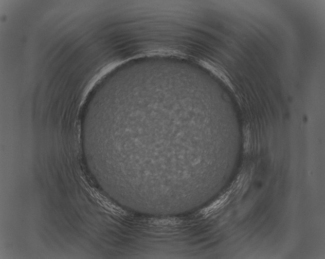 X0000062621021200601111029