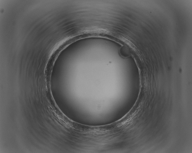 X0000062621022200601111029