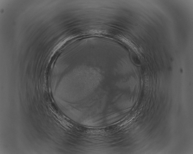 X0000062621023200601111029