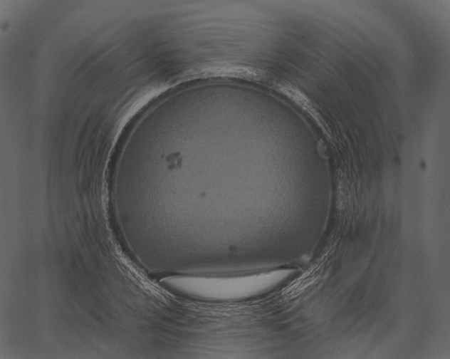 X0000062621024200601111029