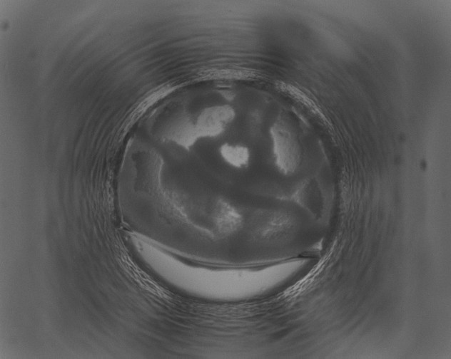 X0000062621025200601111029