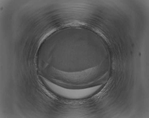 X0000062621026200601111029