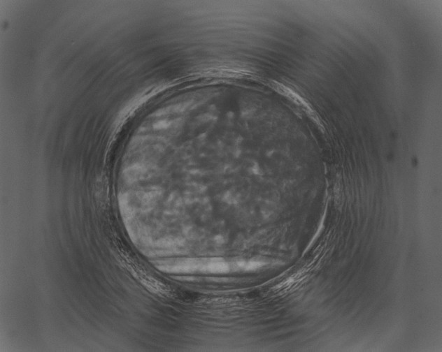 X0000062621027200601111029