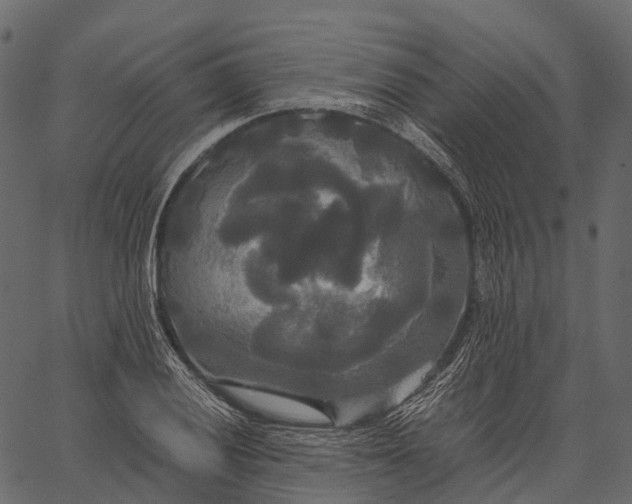 X0000062621028200601111029