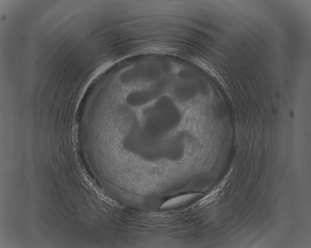 X0000062621029200601111029