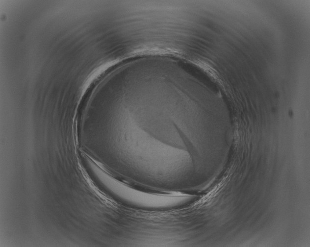 X0000062621030200601111029