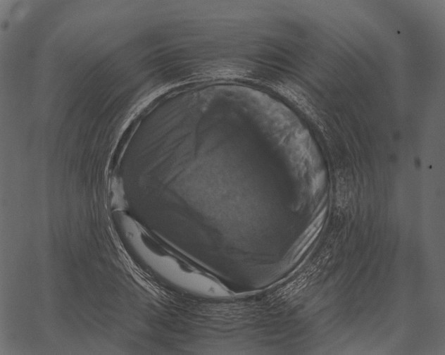 X0000062621031200601111029