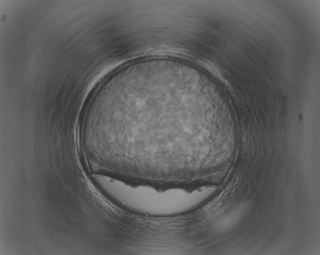 X0000062621032200601111029