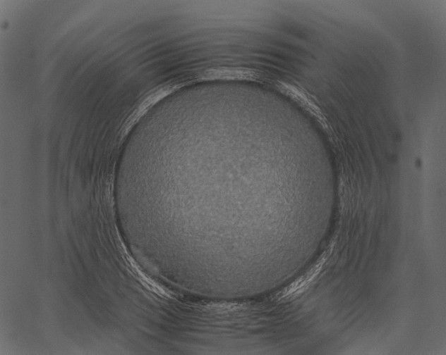 X0000062621033200601111029