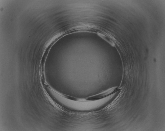 X0000062621034200601111029