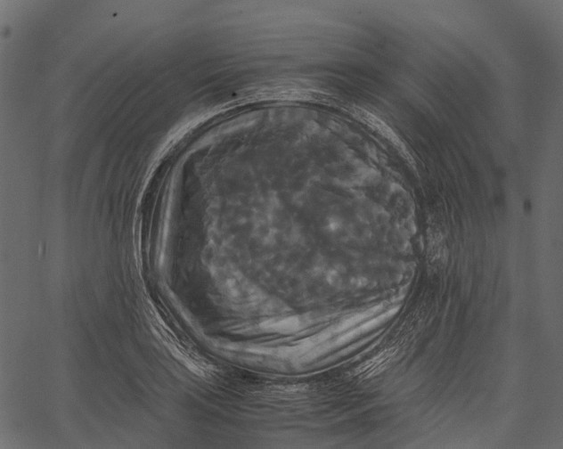 X0000062621035200601111029