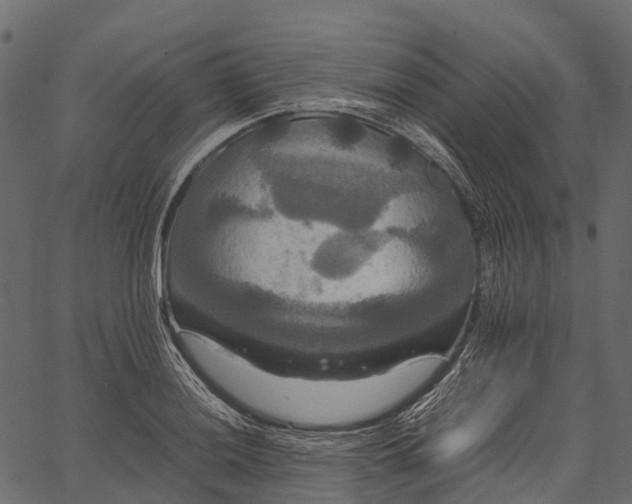 X0000062621036200601111029