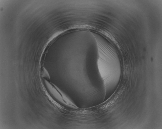 X0000062621037200601111029