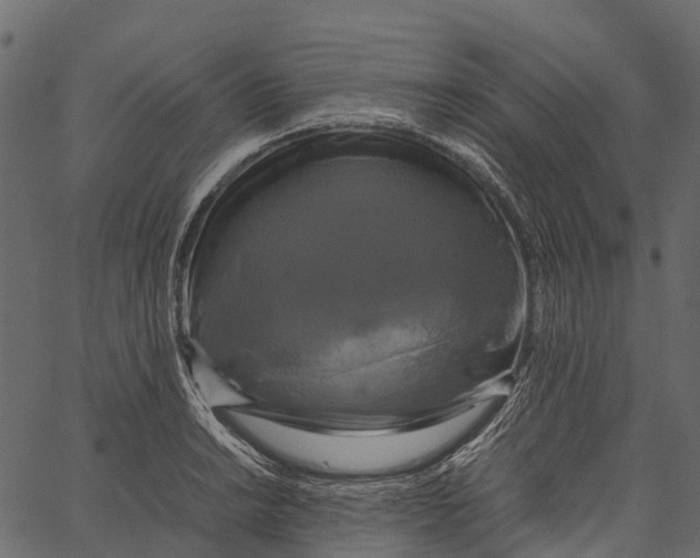 X0000062621038200601111029