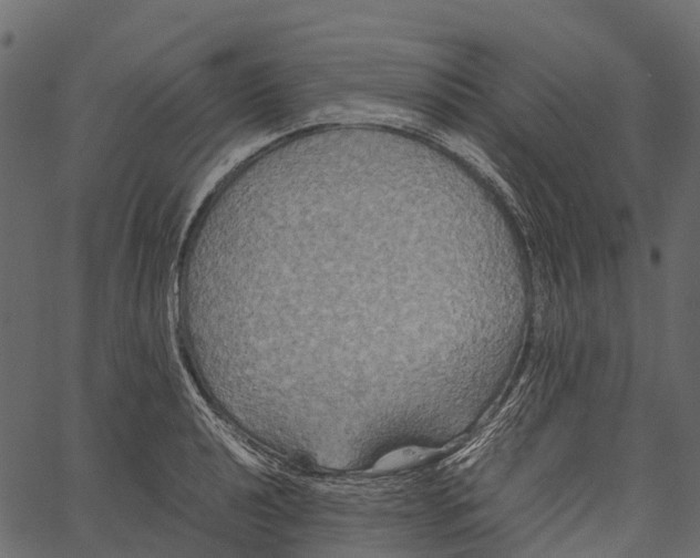 X0000062621040200601111029