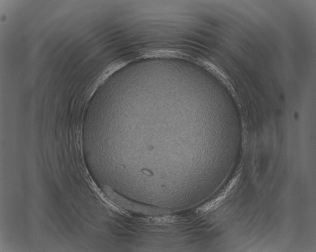 X0000062621041200601111029