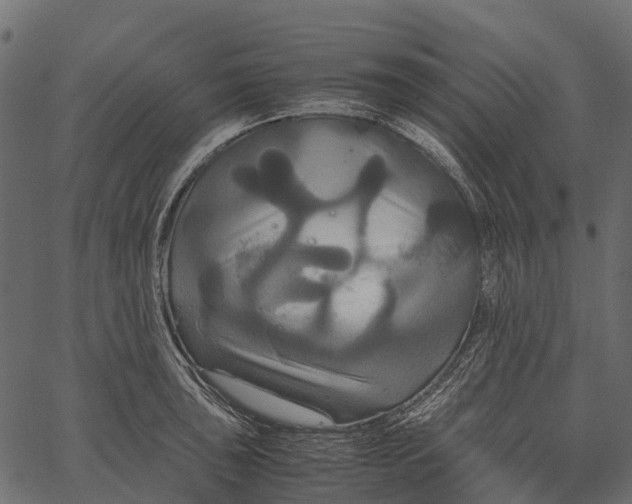 X0000062621043200601111029