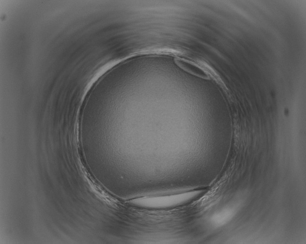 X0000062621044200601111029